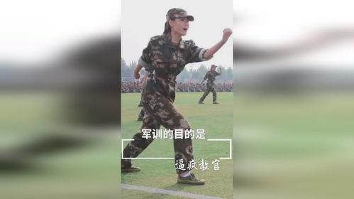 教官疯狂爆料视频大全,揭秘军事训练幕后真相