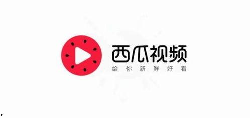 头条必须用西瓜视频吗,内容创作者必看平台攻略