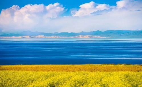 青海湖头条,揭秘高原明珠的生态变迁与旅游魅力