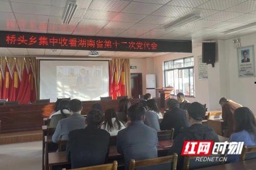 永定市桥头乡新闻头条,乡村振兴战略下的新篇章