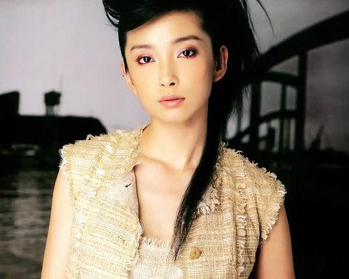 艺人明星李冰冰,璀璨星途与公益情怀的完美融合