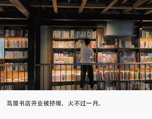 网红小店的共性是什么,共性与魅力一网打尽