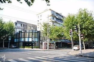 514米网红马路
