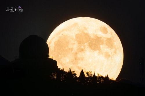 明星关于月亮的