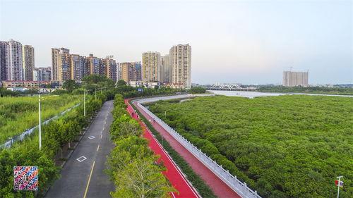 防城港网红地,网红打卡地背后的魅力风光