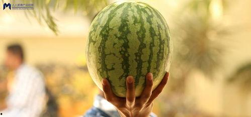 2021娱乐圈吃瓜不断,瓜田李下，明星风云录